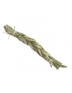 Sweet Grass (Hierochloe... 2
