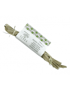 Sweet Grass (Hierochloe...