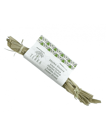 Erba Dolce (Hierochloe odorata) - piccola - Terra
