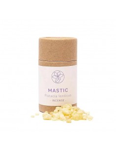 Lentisco – Mastix greco (Pistacia lentiscus) - 17 g