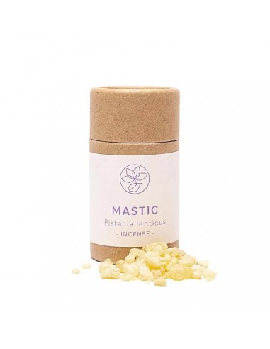 Lentisco – Mastix greco (Pistacia lentiscus) - 17 g