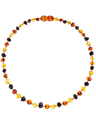 Collana Ambra Adulto - multicolor