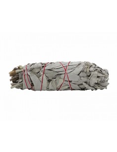 White Sage - Medium Smudge