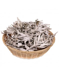 White Sage - Leaf - 30 gr