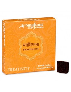 Aromafume Chakra incense...