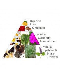 Aromafume Chakra incense... 2