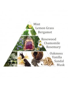 Aromafume mattoncini di incenso 3° chakra 2