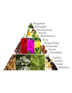 Aromafume Chakra incense... 2