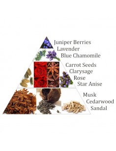 Aromafume mattoncini di incenso 6° chakra 2