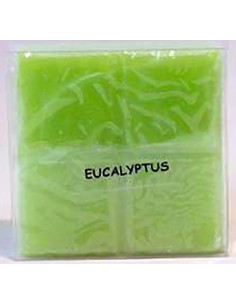 Eucalipto - incense bricks