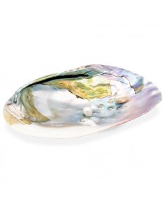 Conchiglia in Madreperla con perla