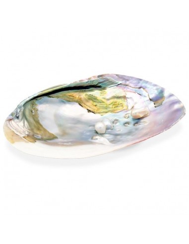 Mother of Pearl Shell with pearls