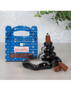 Nag Champa backflow incense... 2