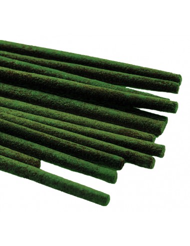 Garden of the Nile - Incense Stick