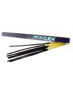 Spiritual Guide - Padmini...