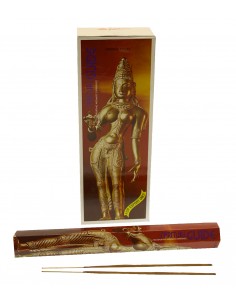 Spiritual Guide Red -... 2