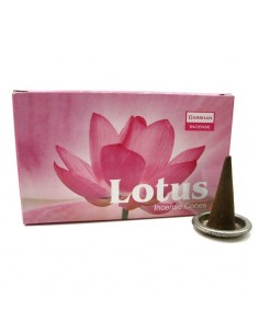 Loto - Coni di incenso Darshan