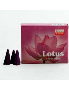 Loto - Coni di incenso Darshan 2