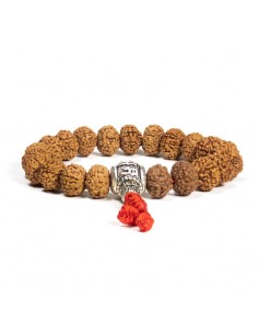 Mala/bracelet rudraksha +...
