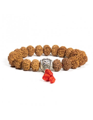 Mala/bracelet rudraksha + OMPMH 21 beads