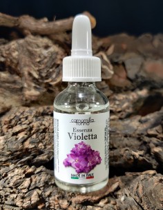 Violet - Liquid Essence