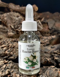 Muschio bianco - Essenza liquida