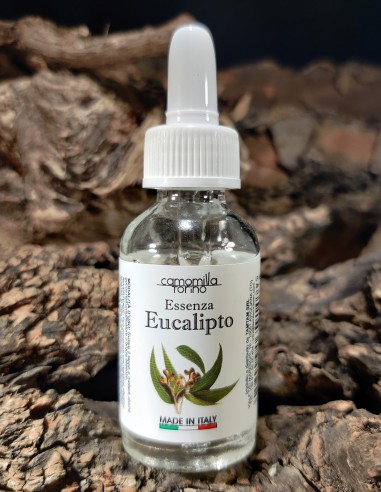 Eucalyptus - Liquid Essence