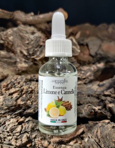 Limone e Cannella - Essenza liquida