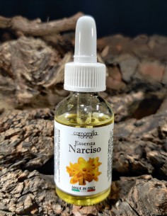Narciso - Essenza liquida