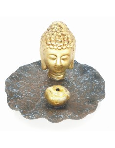 Brucia incenso Buddha