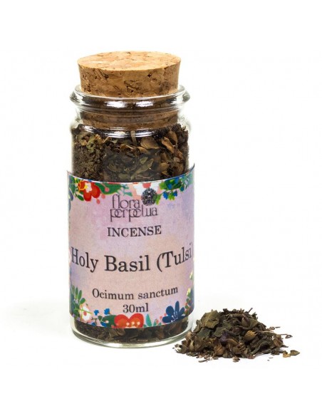 Basilico sacro (Tulsi) - 30 ml