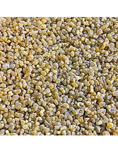 Messer (Boswellia papyrifera) in resina - 50 g