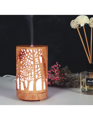 Hogi Aromatherapy Diffuser