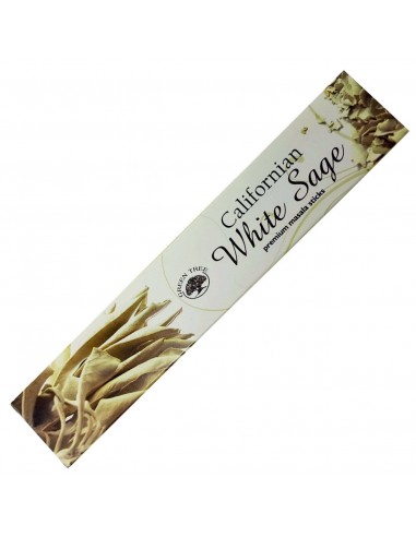 White Sage - Green Tree Incense Sticks