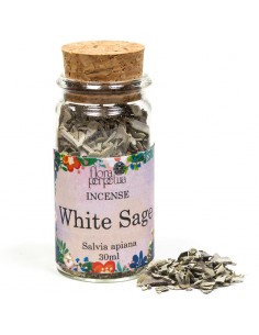 Salvia Bianca - 30 ml 2