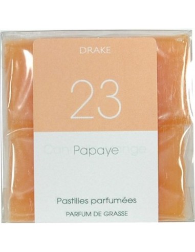 Papaya - incense bricks