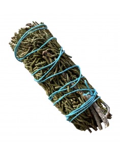 Juniper (Juniperus...