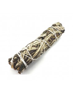 Yerba Santa (eriodictyon...