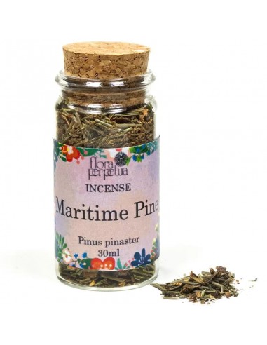 Maritime Pine (Mexican) herbal incense