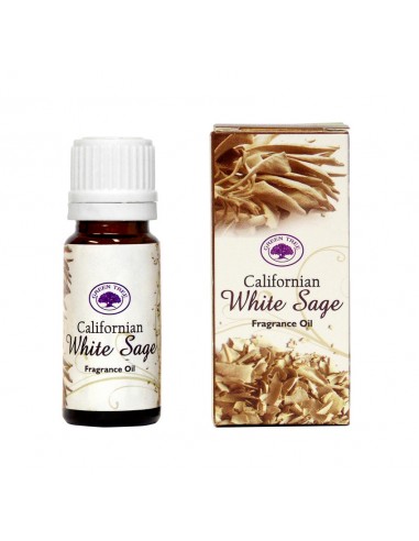 White Sage - Green Tree Essential Oil