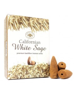 White Sage - backflow...