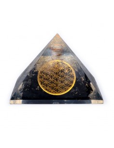 Black tourmaline crystal...