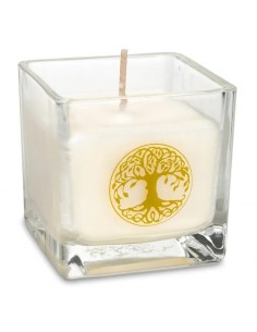 Rapeseed wax scented candle...