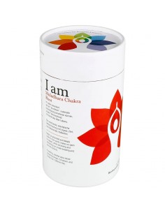 Tisana organica Solaris - Chakra radice 2