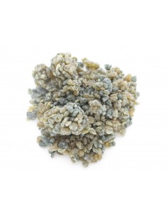 Aphrodesia in resina - 50 g 2