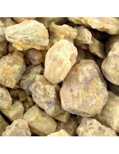 Incense resin Sal Tree...