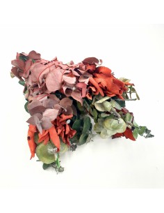 Eucalyptus  and Dragon... 2