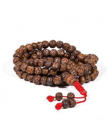 Collana Mala Rudraksha 108 grani lucidati