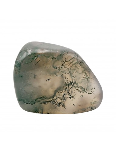 Agate moss