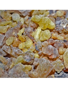 Frankincense in resina - 50 g